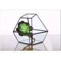 Forma Super Large Glass Terrarium Geometric